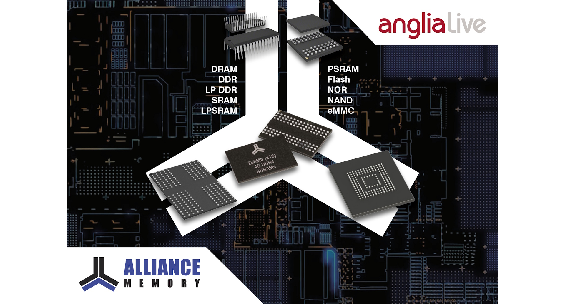 Anglia signs European deal with Alliance Memory