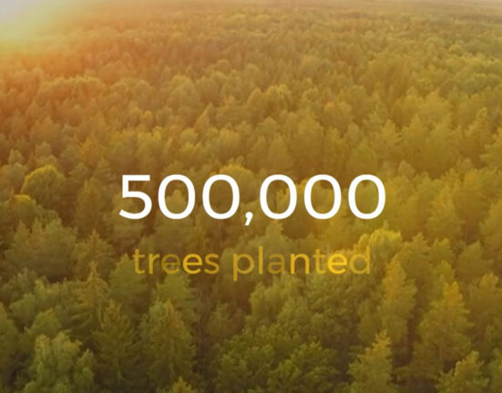 The power of planting – measuring the impact