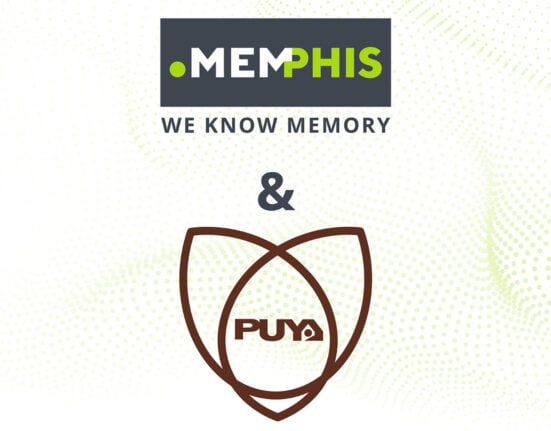 MEMPHIS expands linecard with Puya Semiconductor